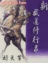 新武道修行录