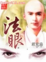 法眼小说