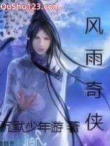 风雨奇侠小说