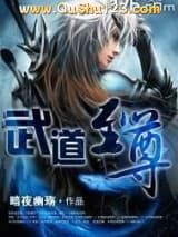 武道至尊小说