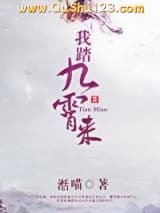 我踏九霄来小说