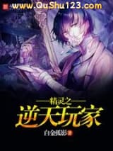 精灵之逆天玩家小说