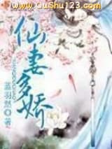 仙妻多娇小说