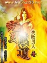 完美贼道小说