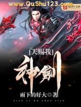 天赐我神剑小说