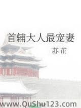 首辅大人最宠妻