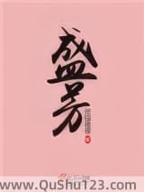 盛芳小说