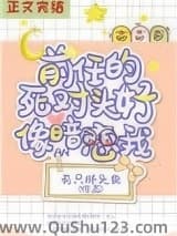 前任的死对头好像暗恋我小说