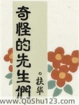 奇怪的先生们小说