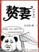 赘妻(女尊)小说