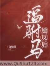逼驸马造反后