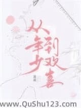 从年少到欢喜小说