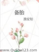 备胎小说