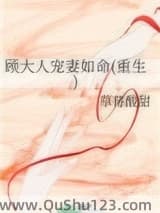 顾大人宠妻如命(重生)小说