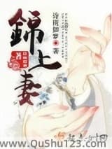 锦上妻