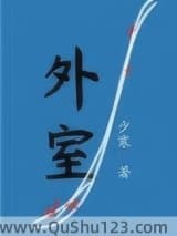 外室（作者：少寒）小说