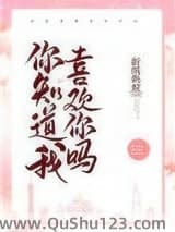 你知道我喜欢你吗小说