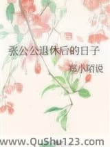 张公公退休后的日子小说