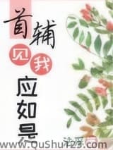 首辅见我应如是