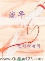 流年小说