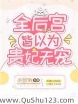 全后宫皆以为贵妃无宠小说