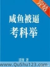 咸鱼被逼考科举小说