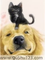 穿成猫后靠玄学爆红小说