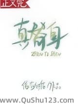 真替身小说