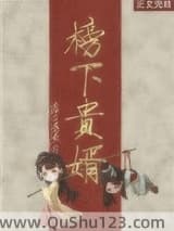 榜下贵婿