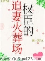 权臣的追妻火葬场小说