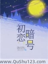 初恋暗号小说