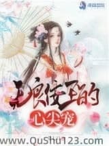 无良佞王的心尖宠