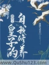 清穿之皇子的自我修养小说