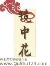 镜中花