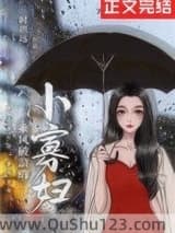 乘风破浪的小寡妇