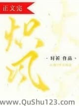 炽风小说