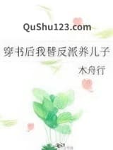 穿书后我替反派养儿子小说