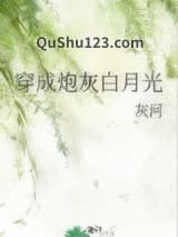 穿成炮灰白月光小说