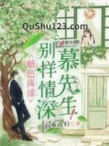 别样情深慕先生小说